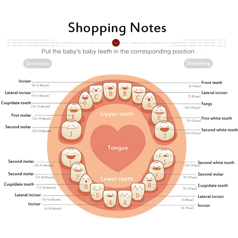 Baby Tooth Wooden Storage  Box